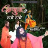 About Gokul Me Radhe Radhe Song